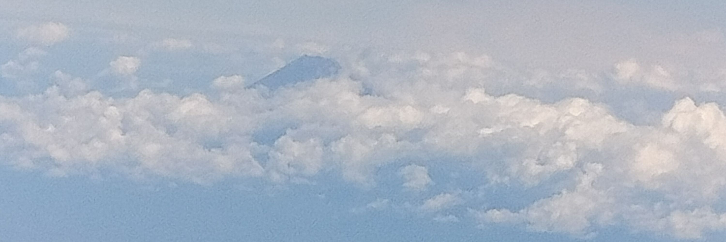 りつ