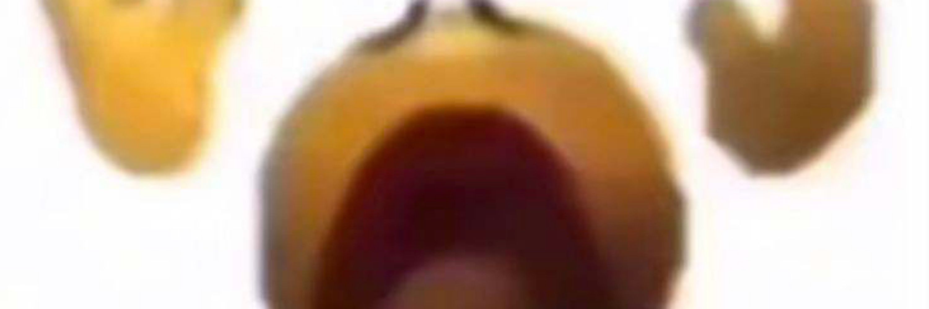 🌶️