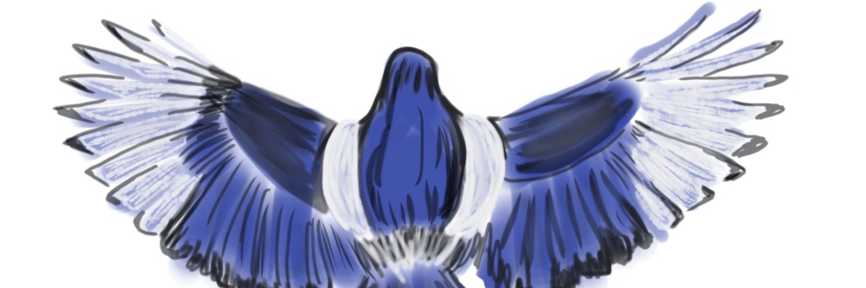 Magpie / open commissions