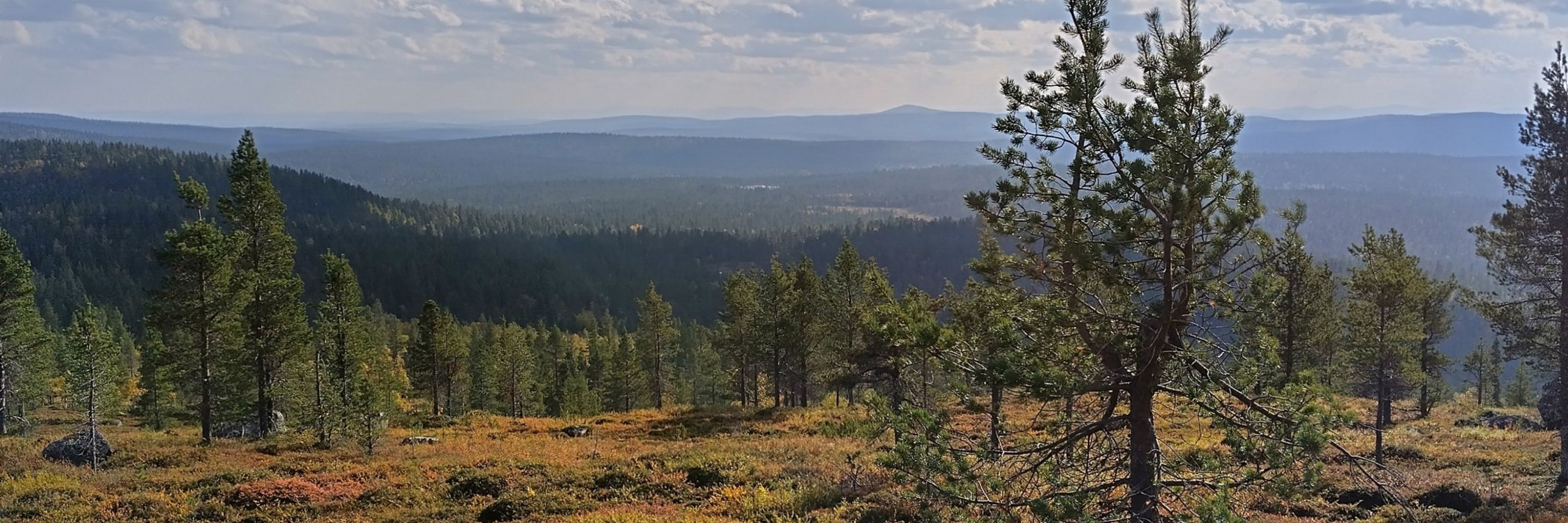 Petri Salovaara