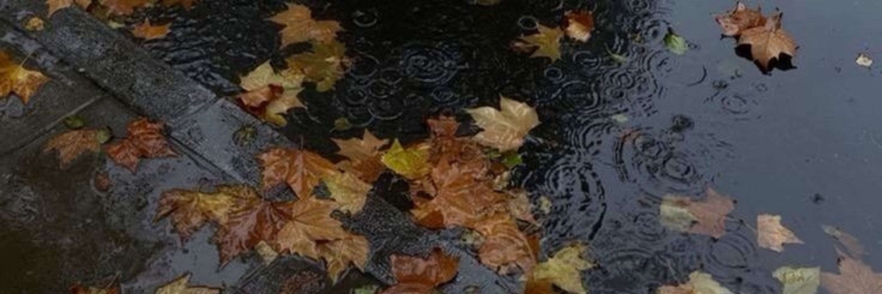 обрезанная рукавичка 🍂🍁