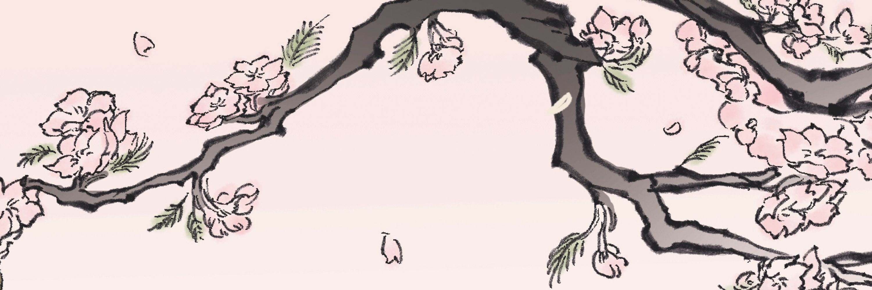 申山ぬる
