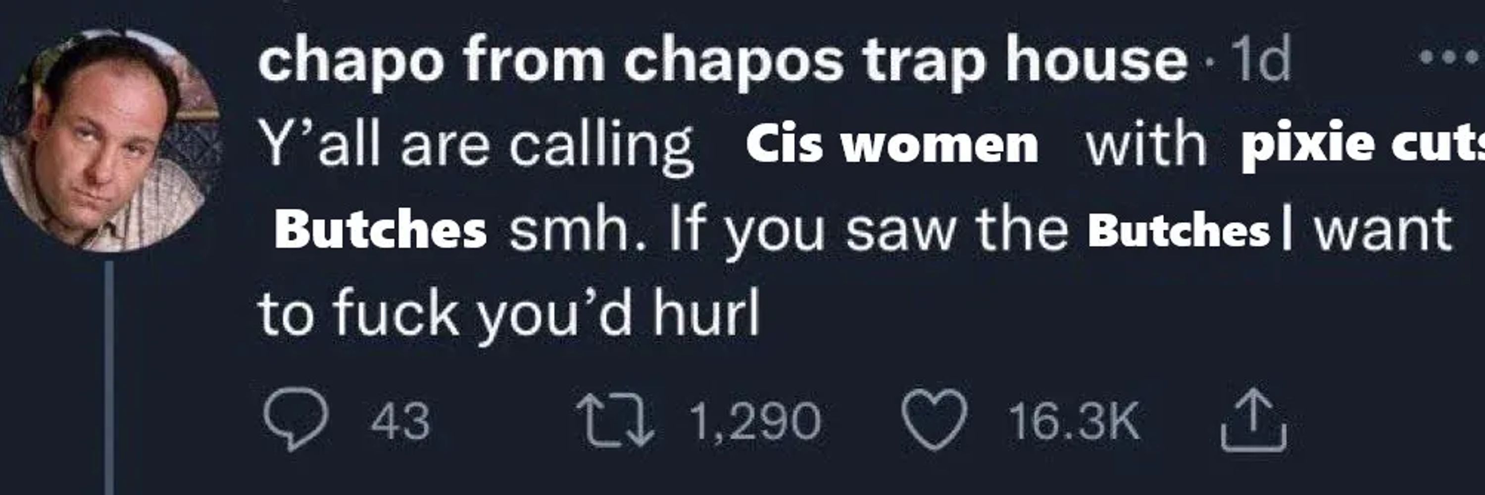 If you saw the butches I wanna fuck, you'd hurl