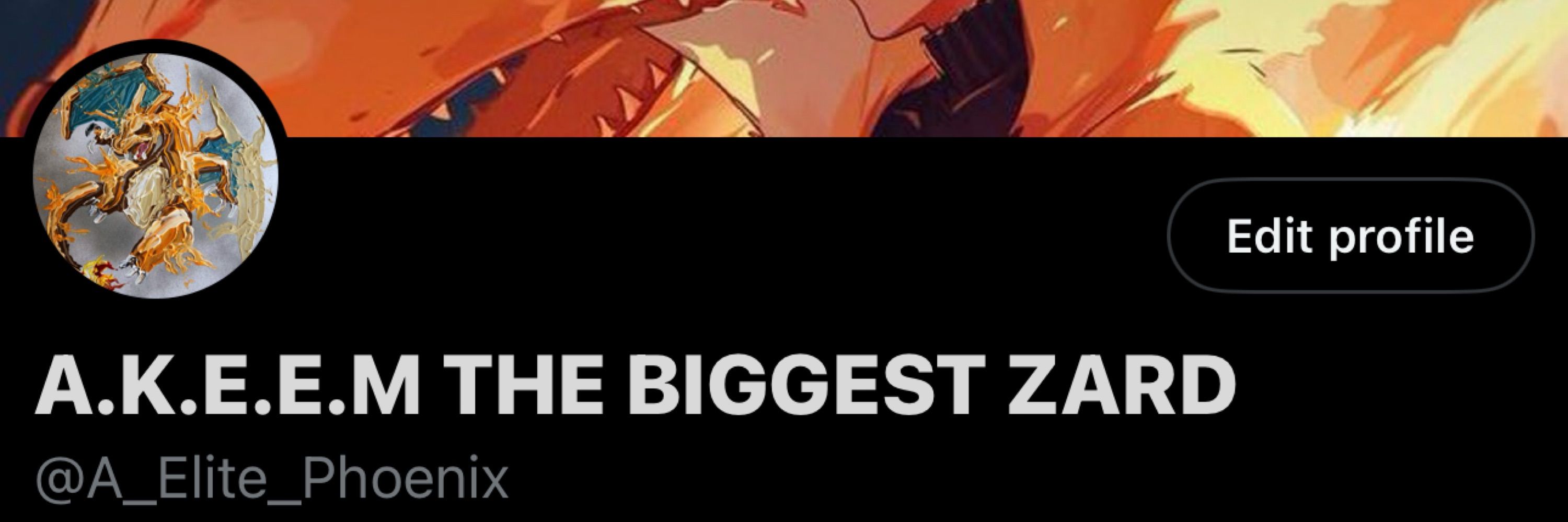 Big Zard