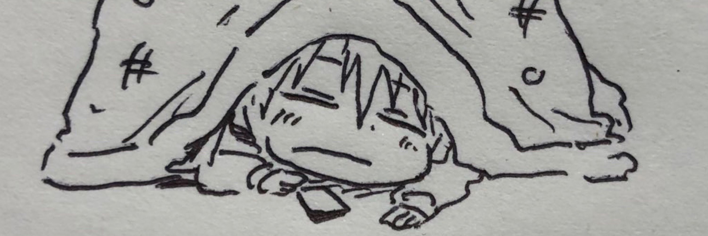 タオまる