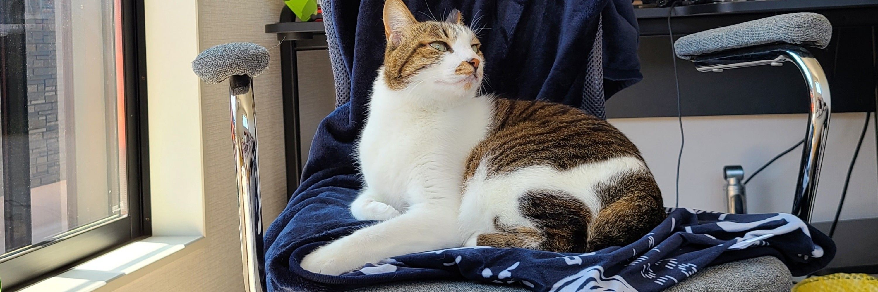 TAKA
