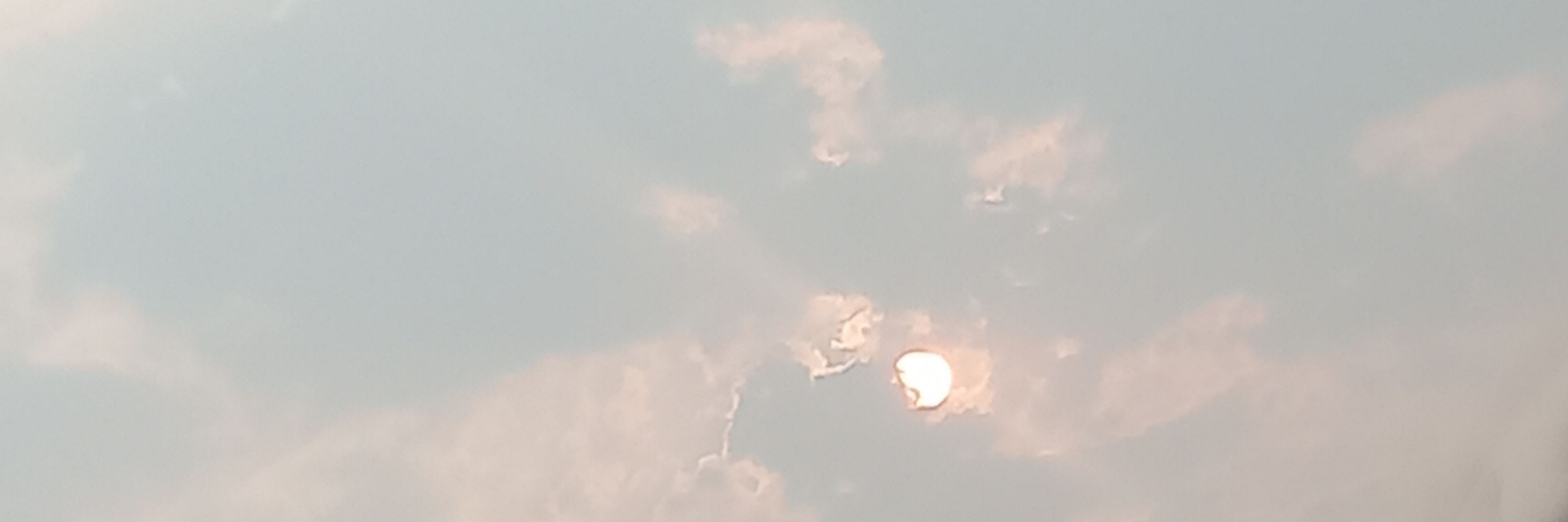 𝐀𝐫𝐢𝐚𝐧𝐞🌪️