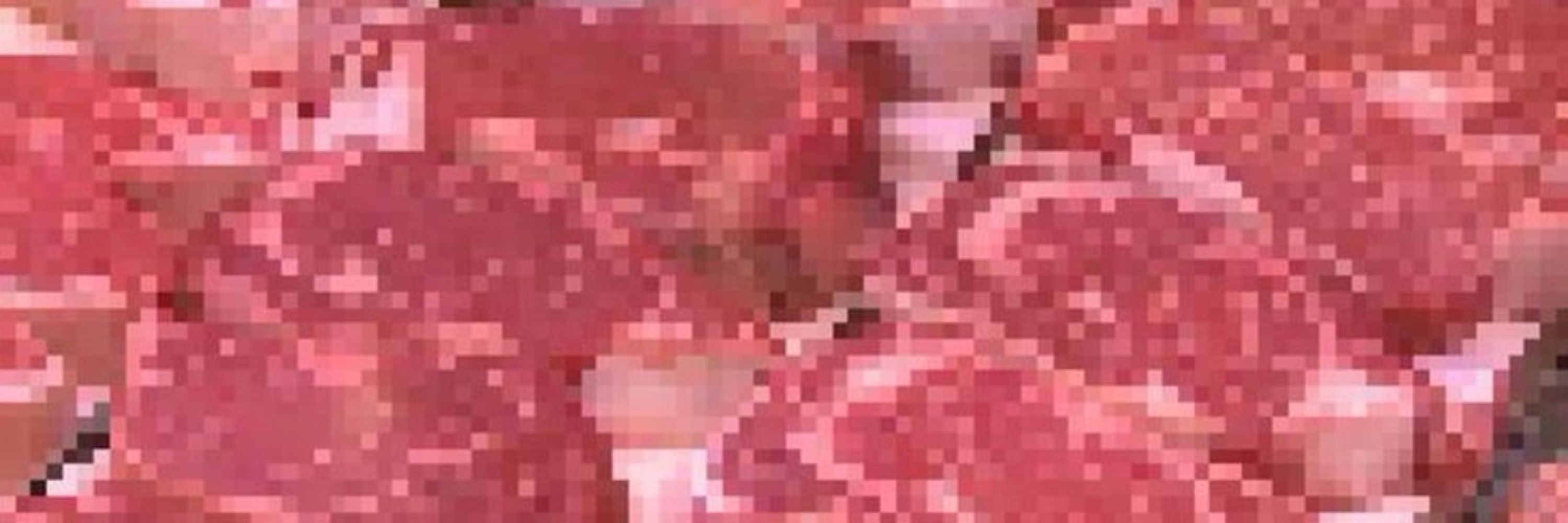 Quimera