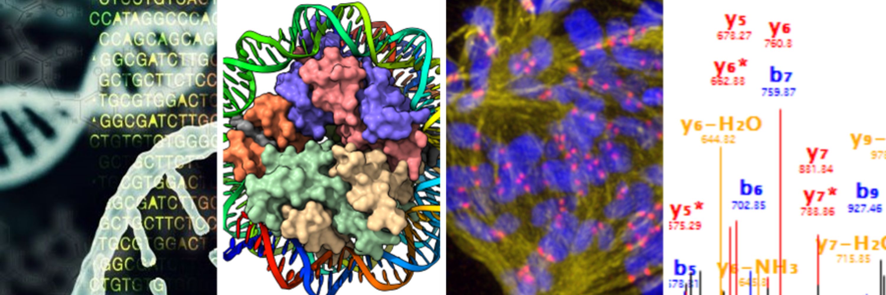 Discovery Research Platform for Hidden Cell Biology