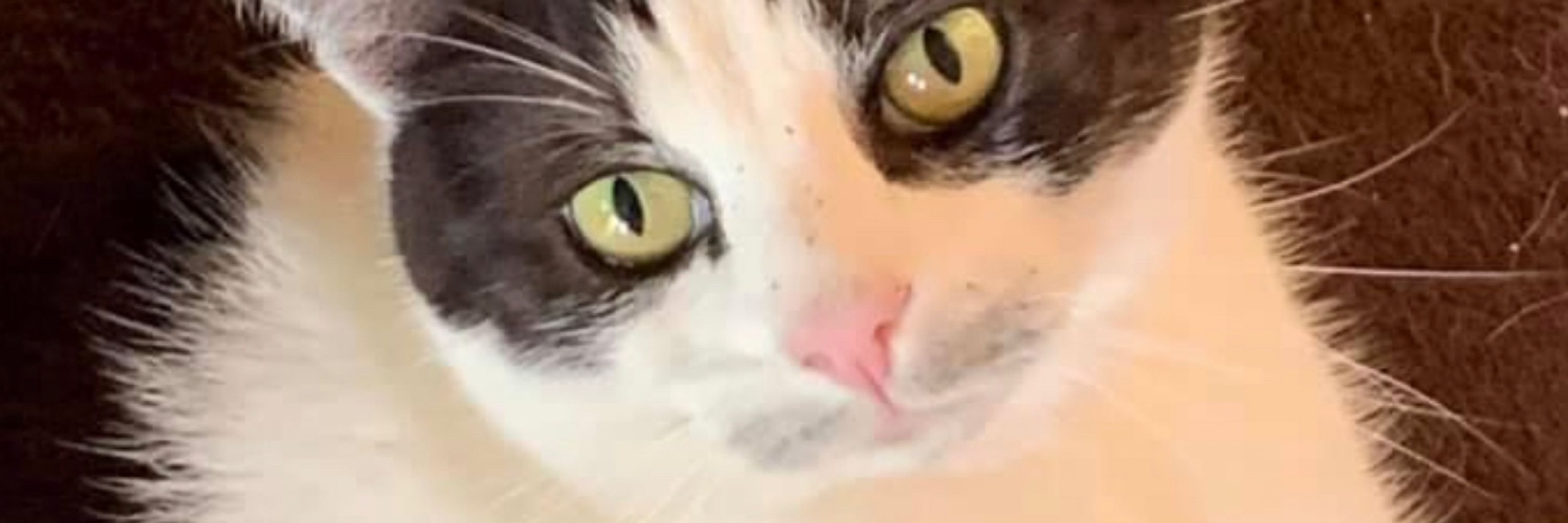 Susan