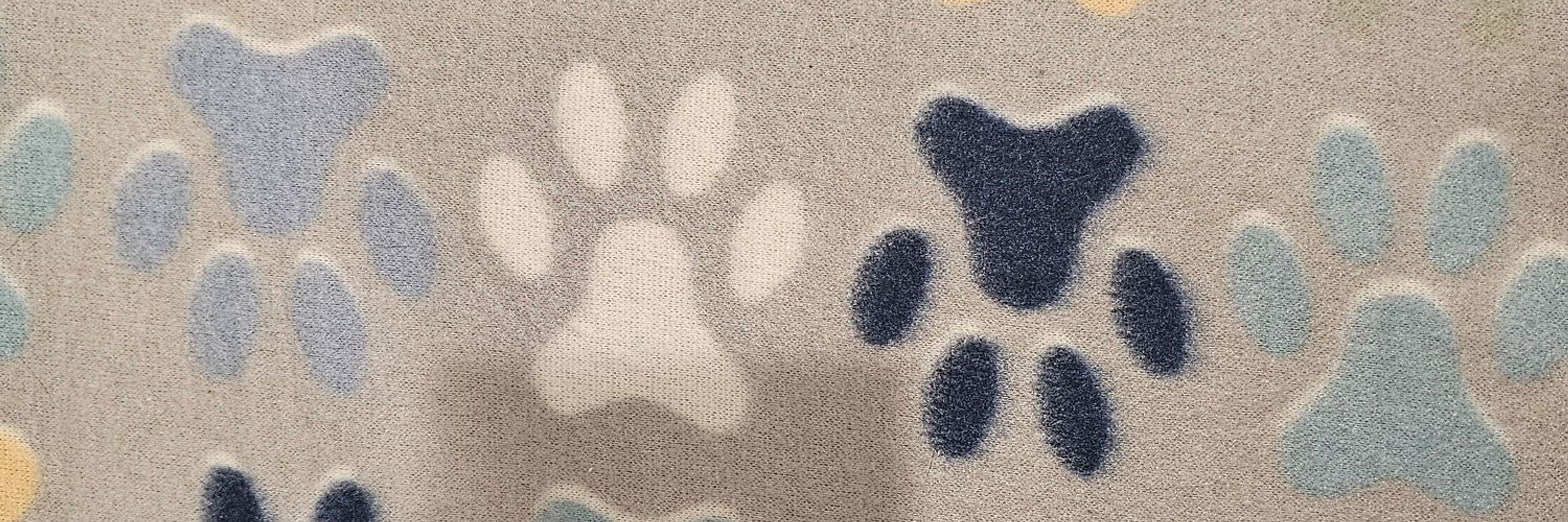 Pup Gasket