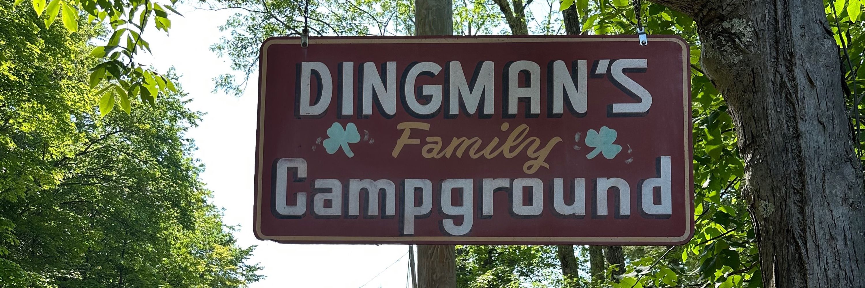 Sam Dingman