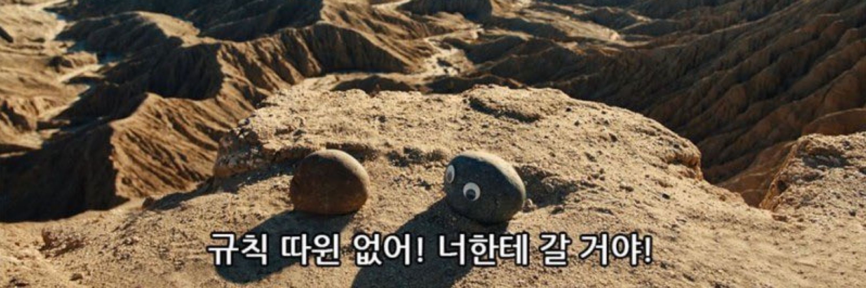 시인✨