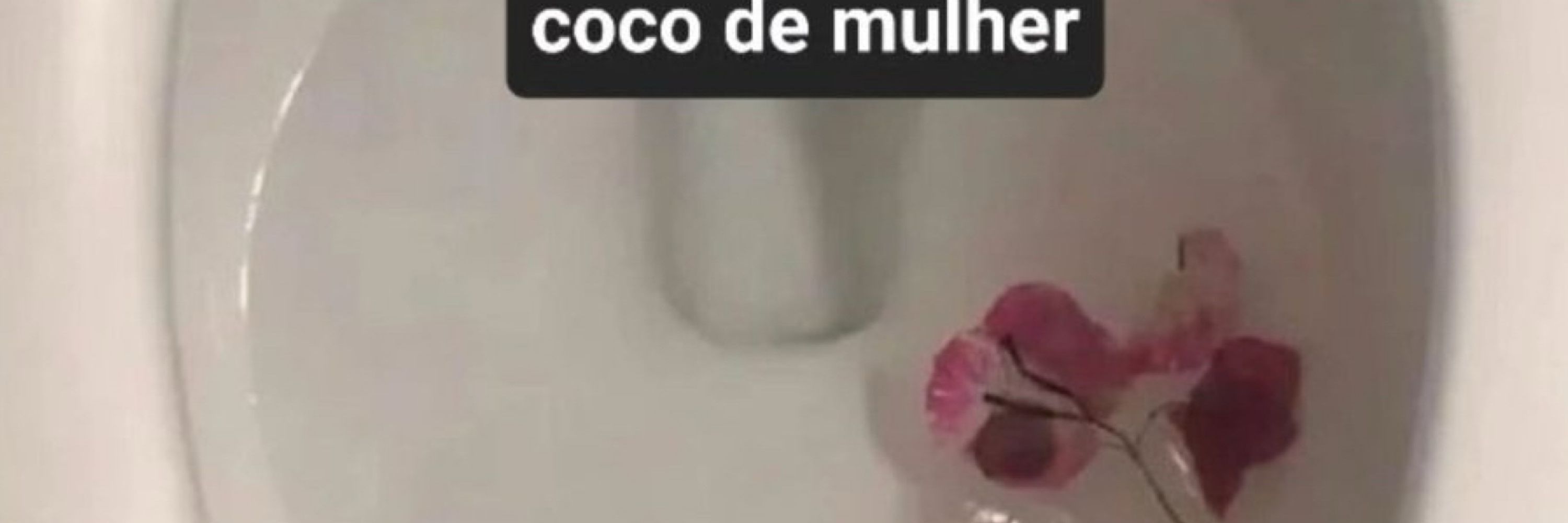 livinha