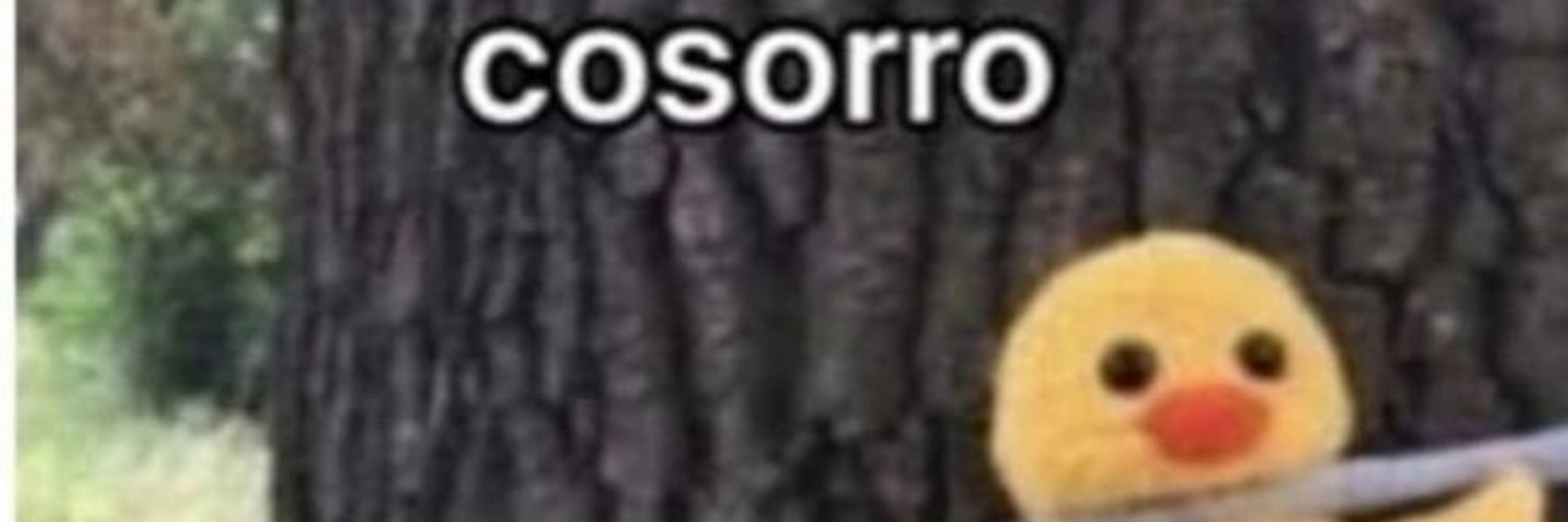 maricota