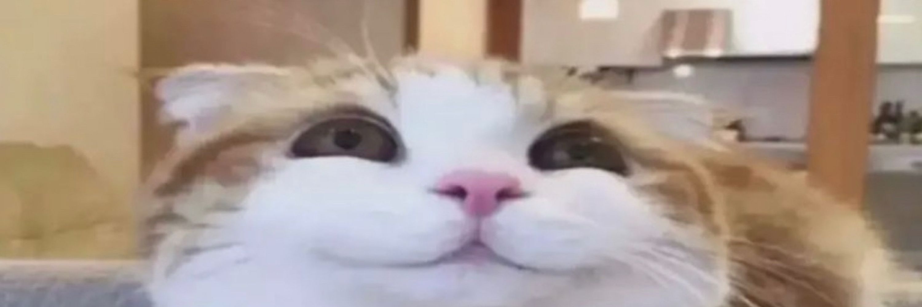 8EBN