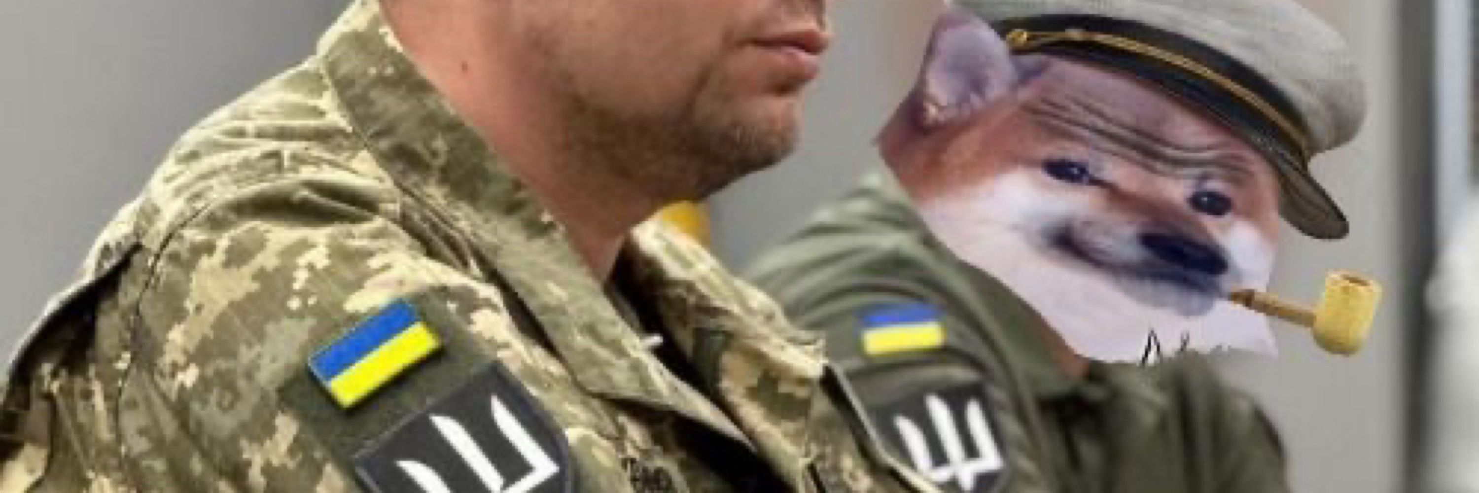PadawanFella ++🔔🇺🇦🇪🇺 Bioweapon Mosquito-Dog Experiment U∆ ПонадУсе