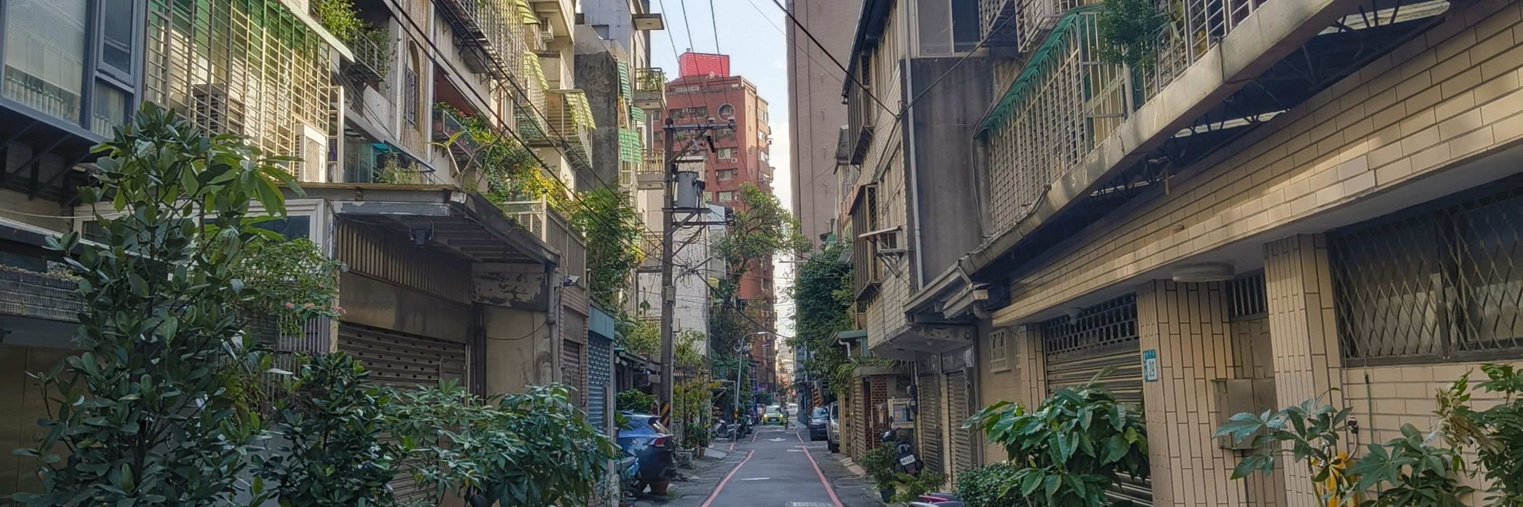 Hsiaotan 小蛋