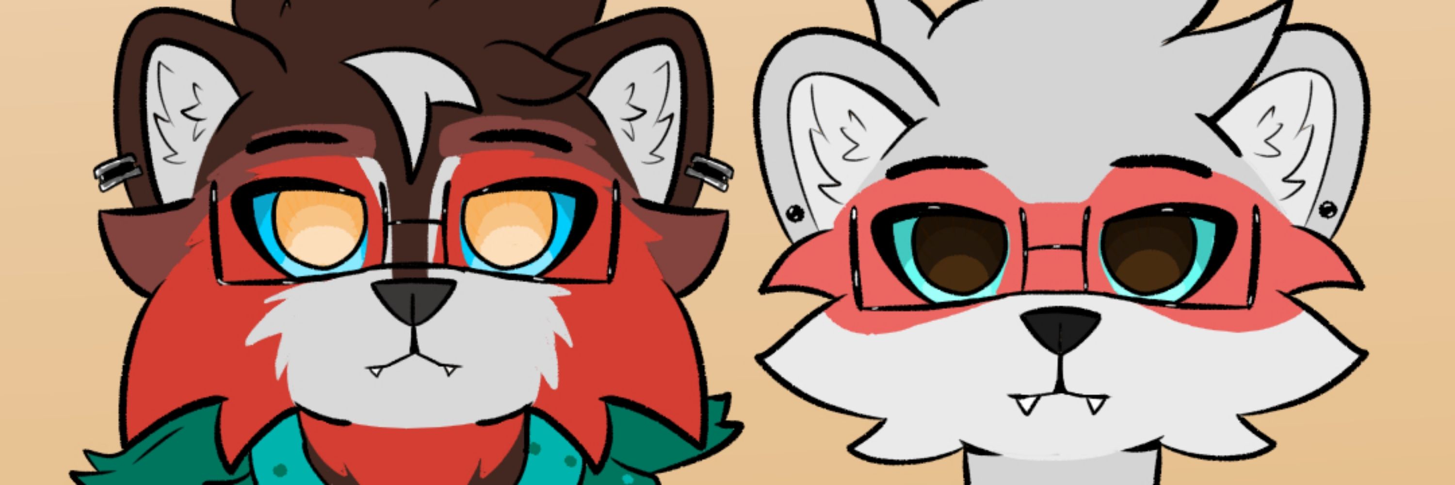 Matt 🦝