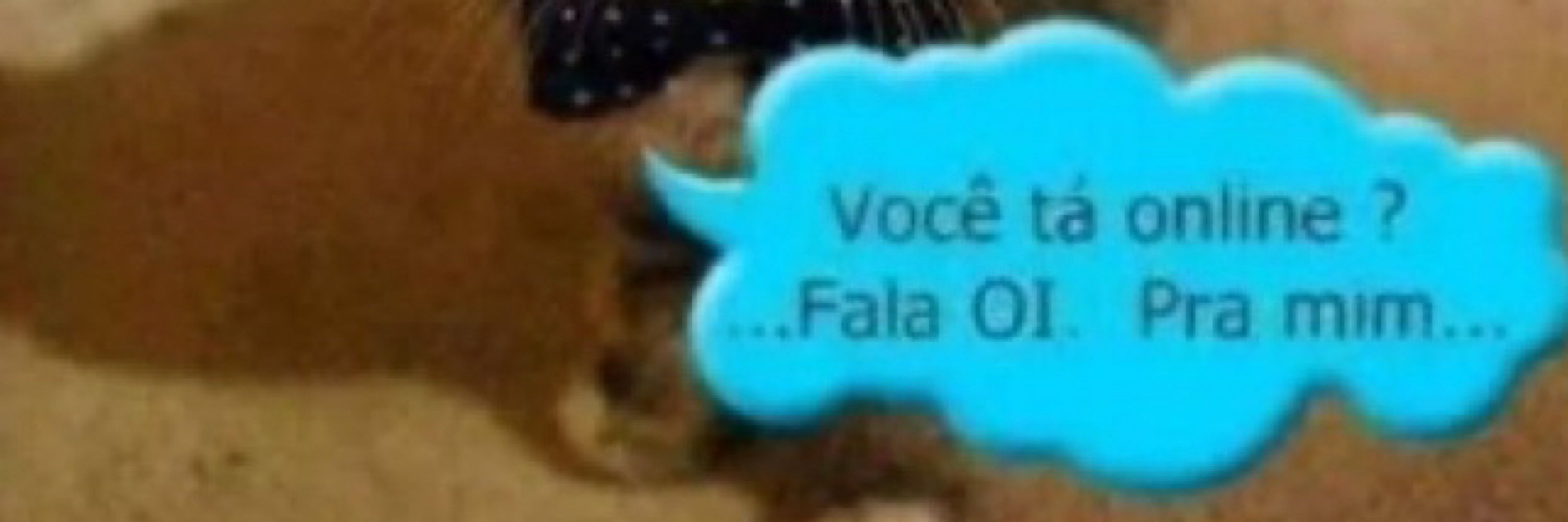 cain, a fera
