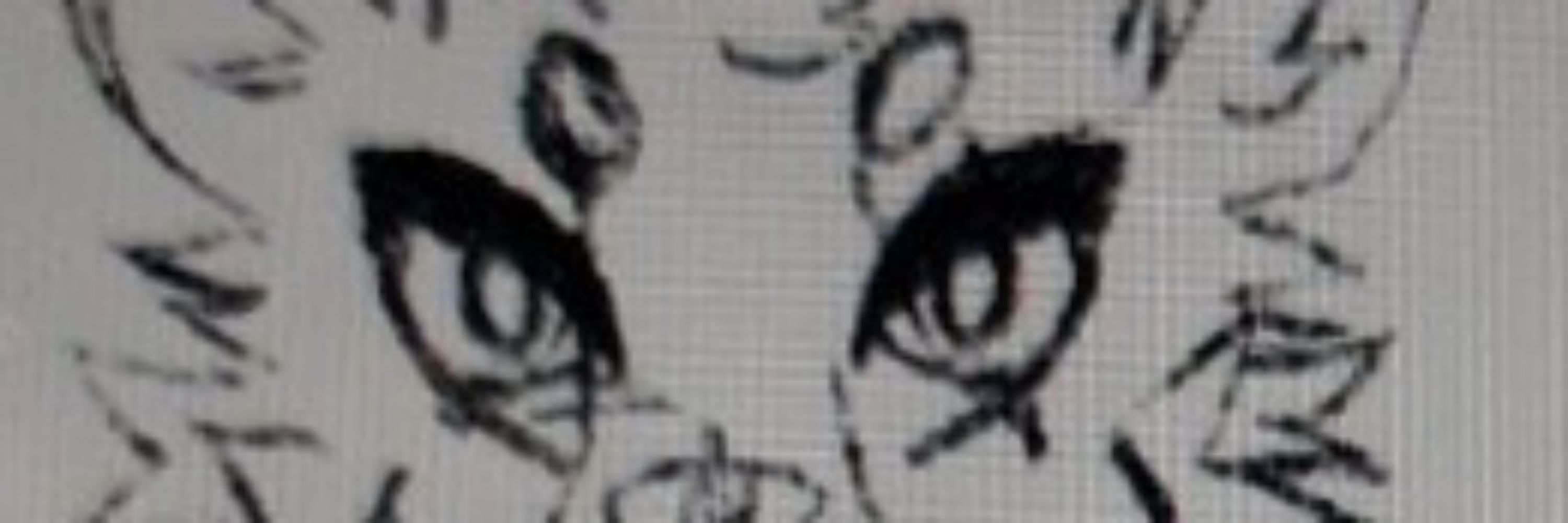 Dog Boi Davad