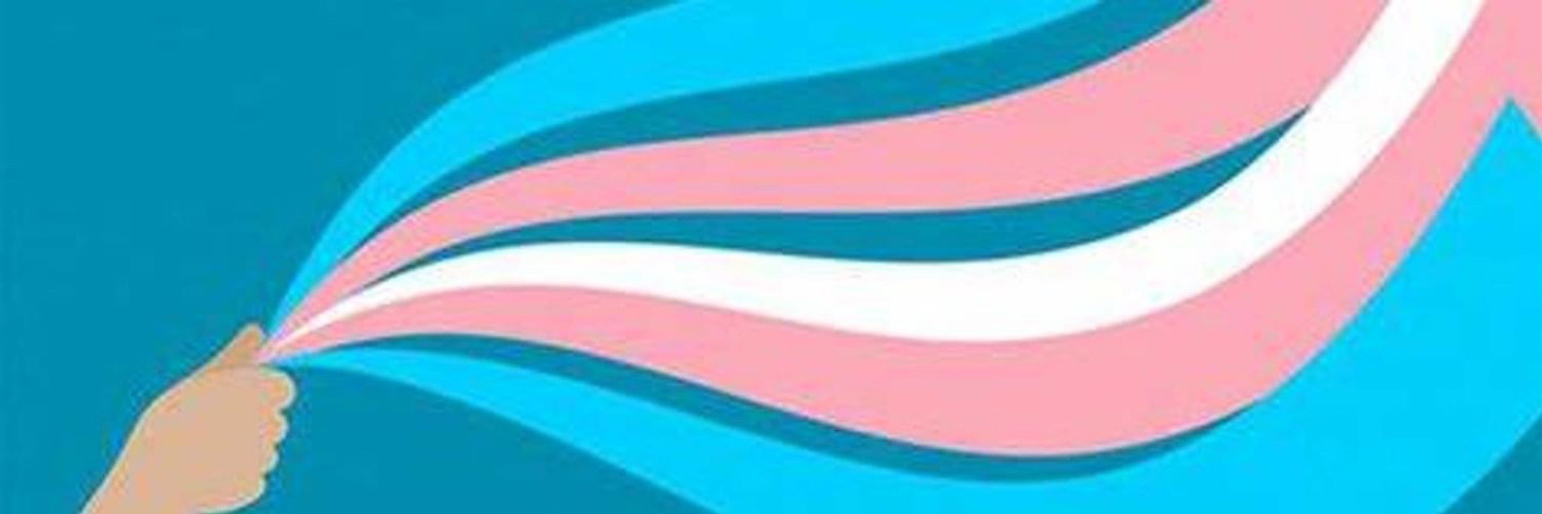 TransPreacher 🏳️‍⚧️❤️🏳️‍🌈