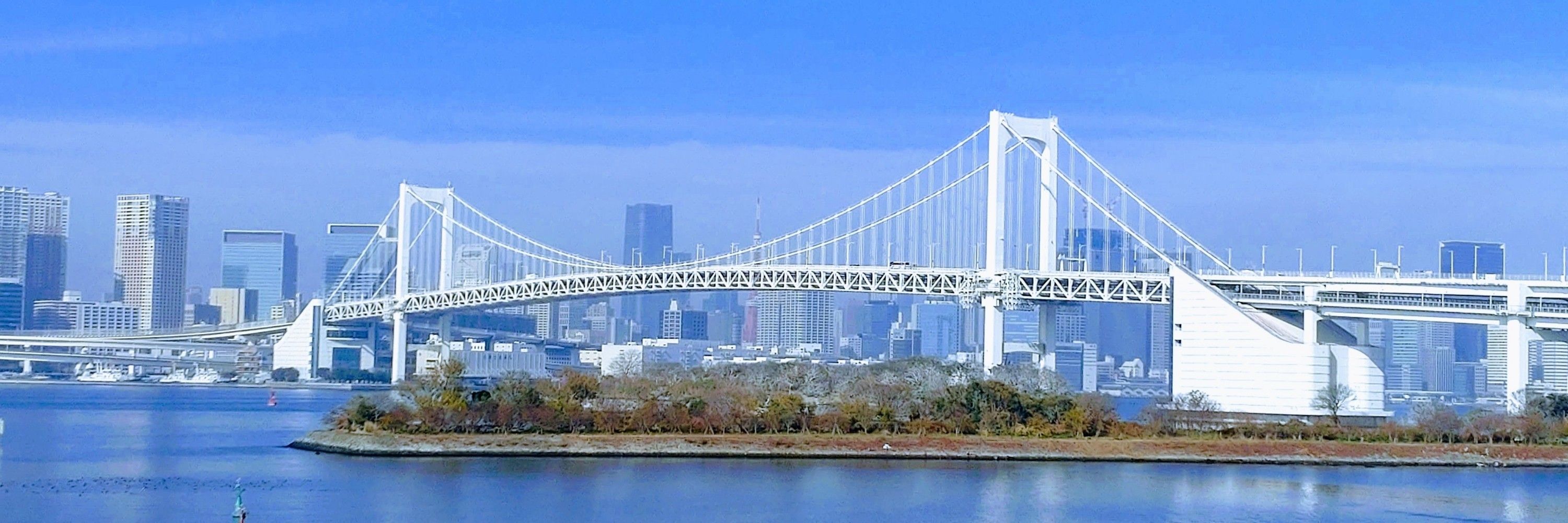 ニコール🌸🗼 🇯🇵