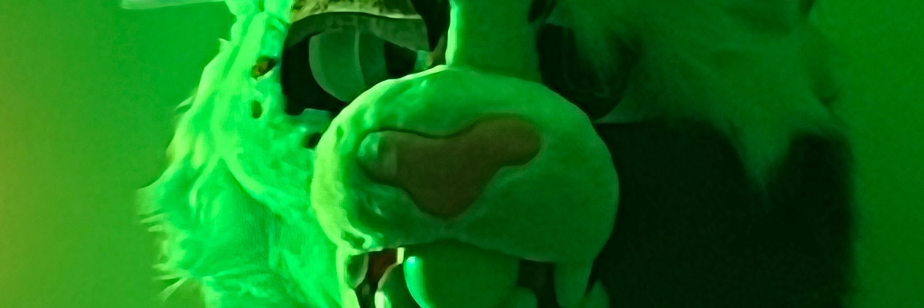 Mama Mixira