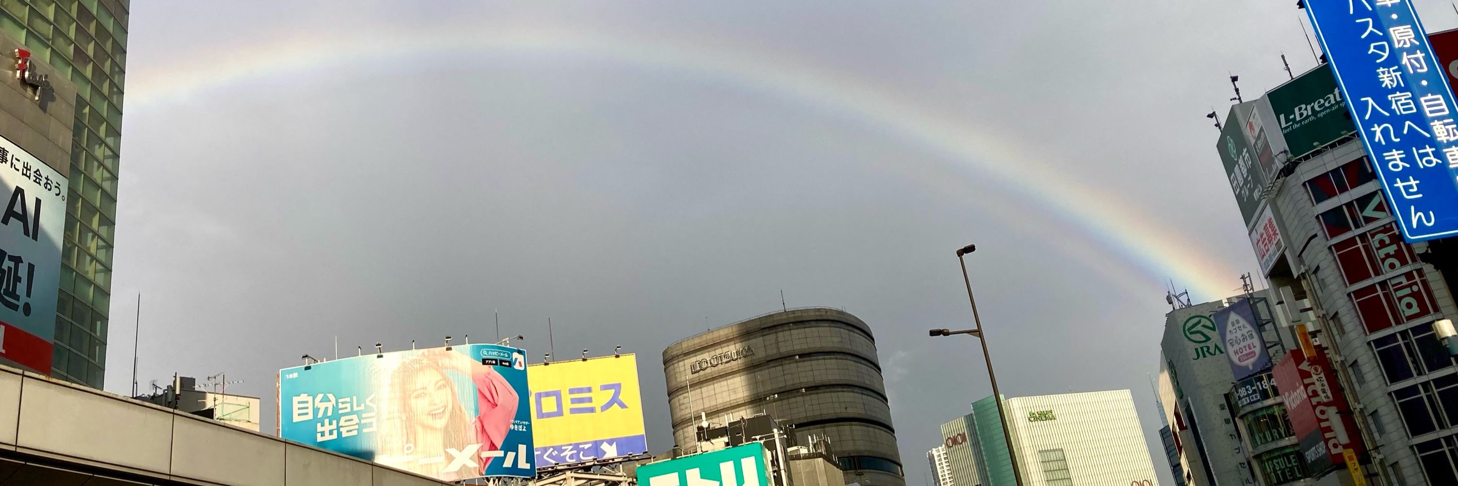んnoﾝ...
