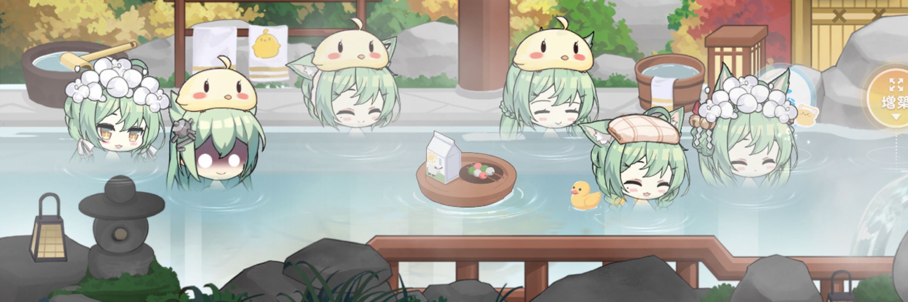 ぐやたぬき