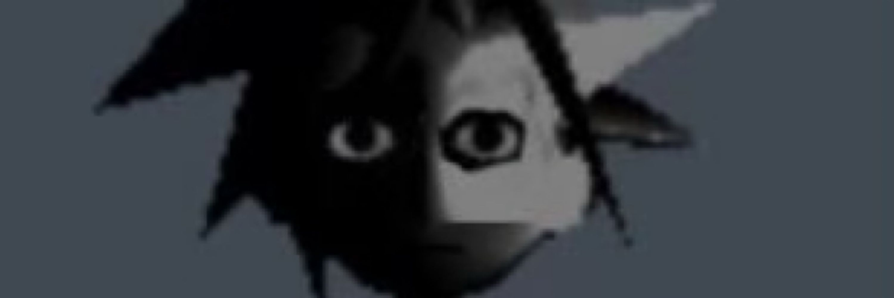 ✺ 𝑬𝒍𝒊𝒛𝒂 ✺