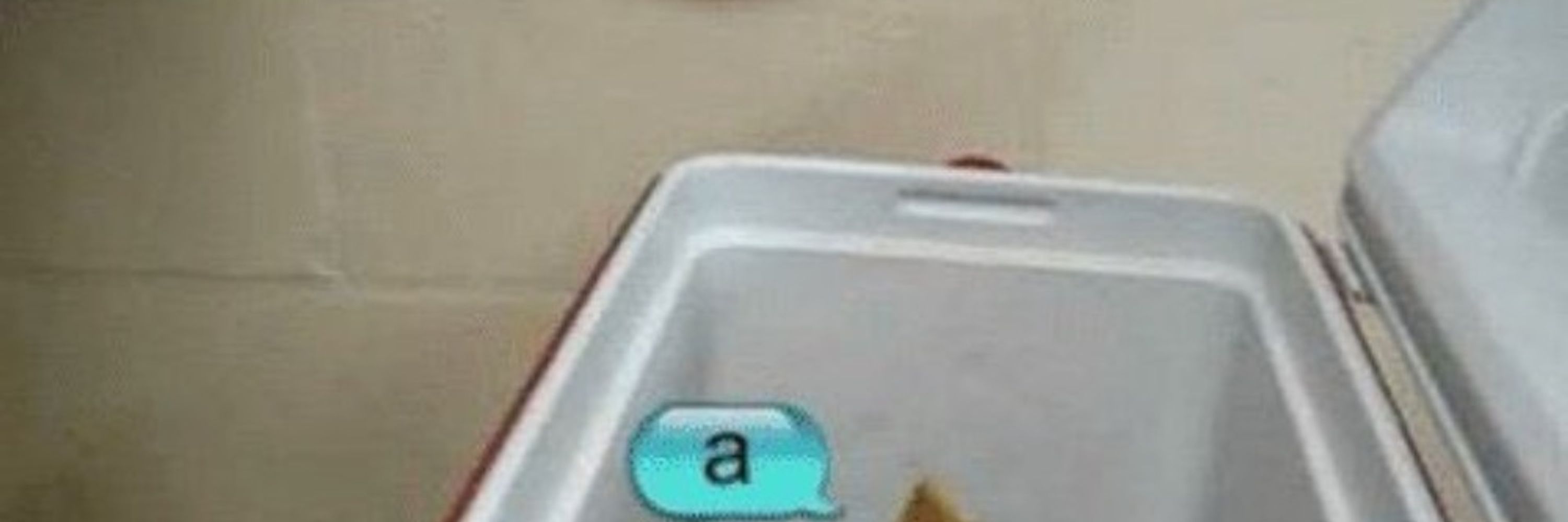 Dee