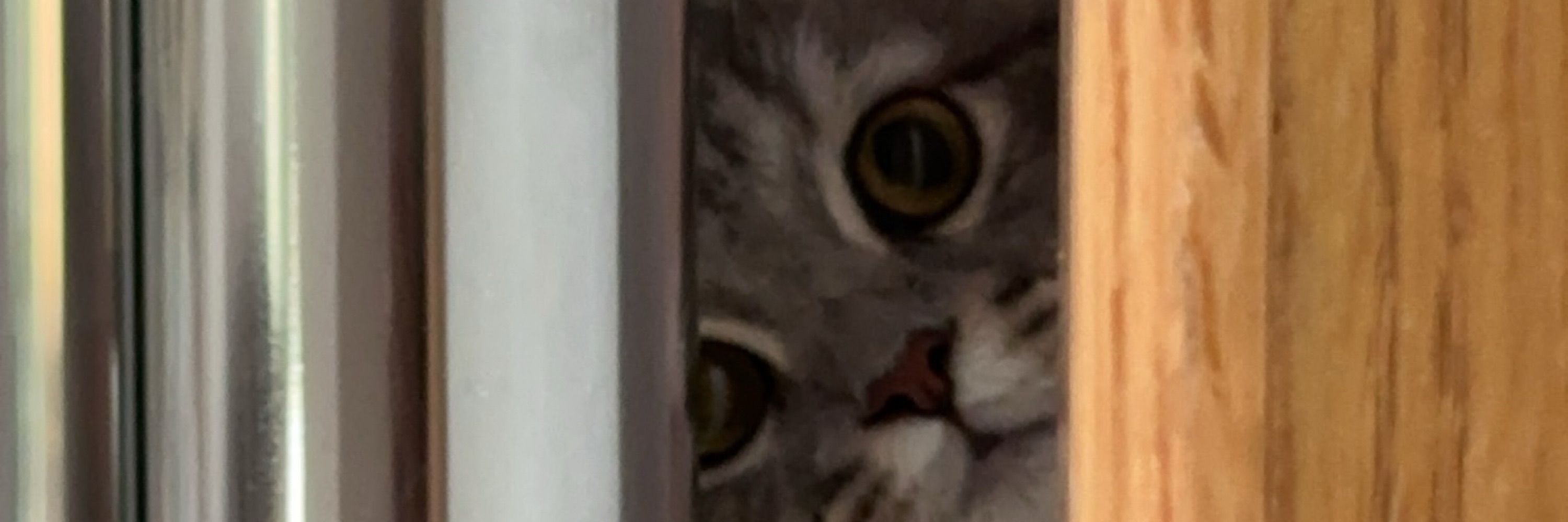 Leeno