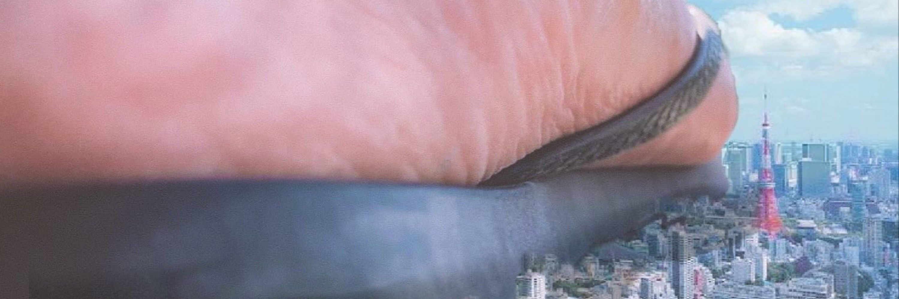 Macro Giant