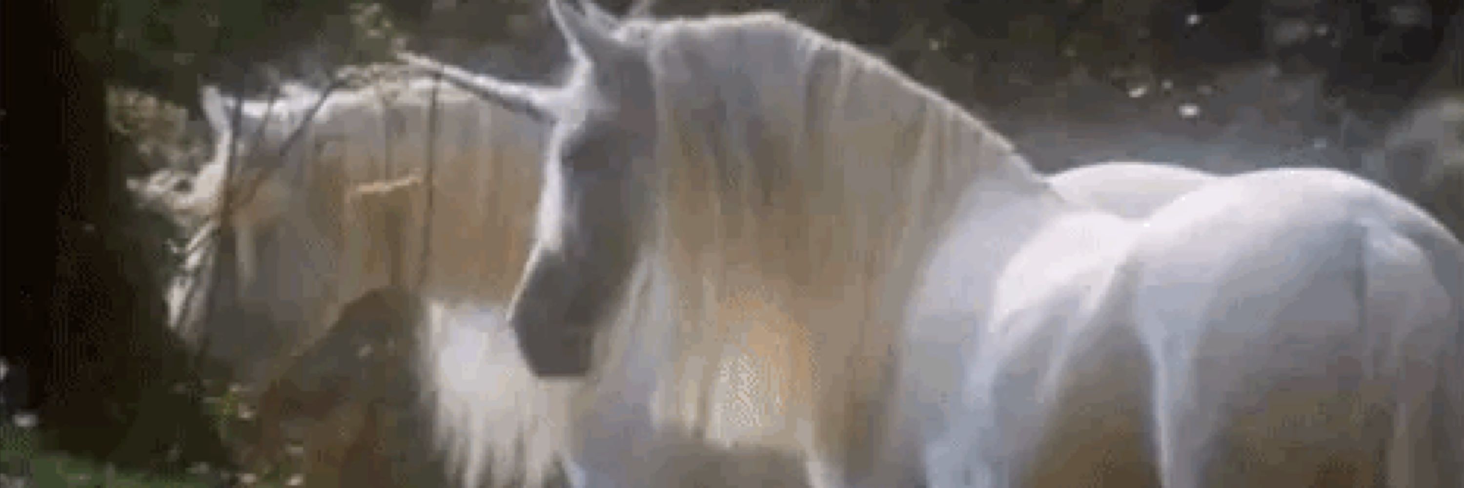 horsey
