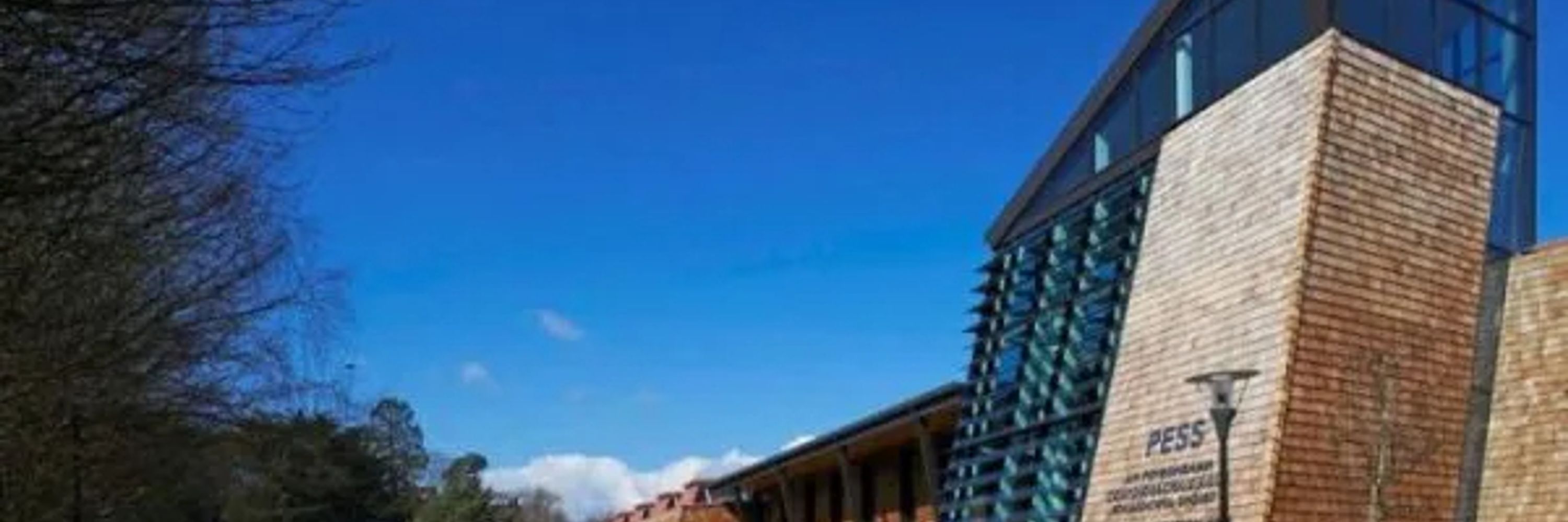 Department of Physical Education and Sport Sciences UL