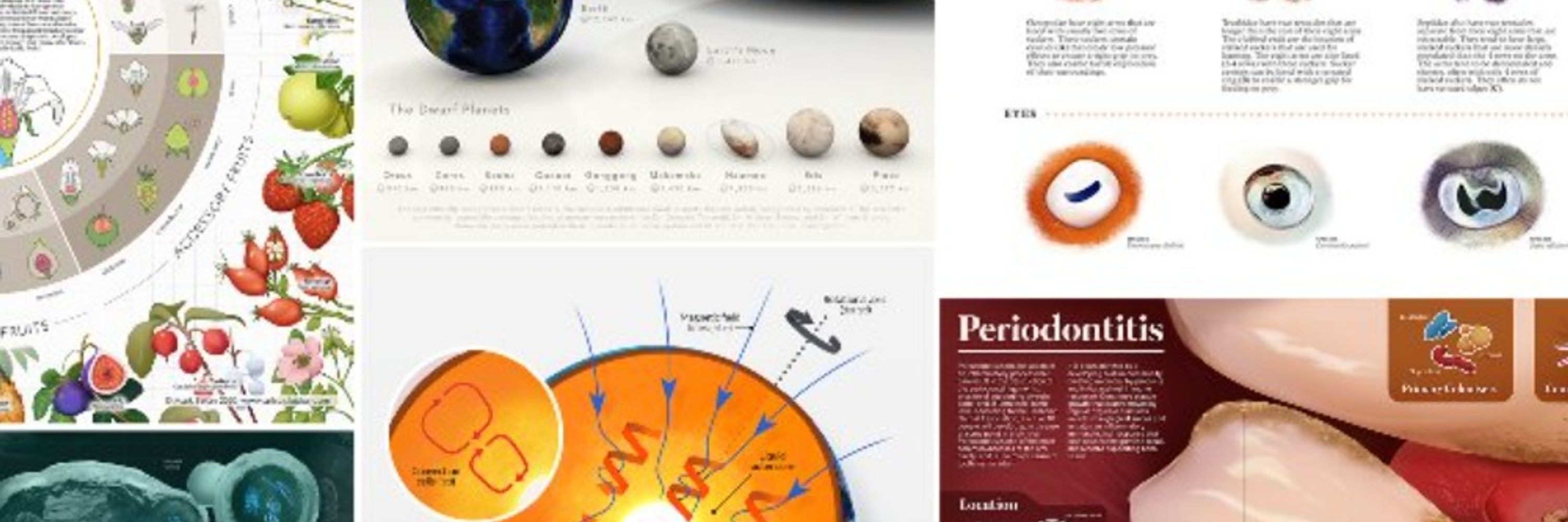 mark belan | science illustrator + info designer