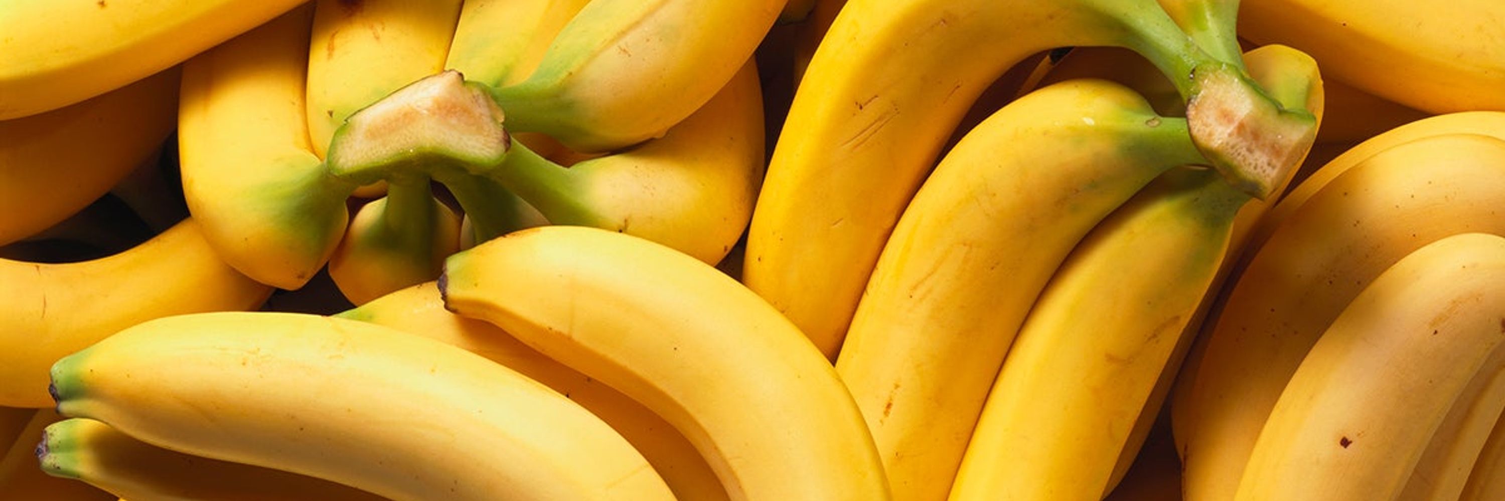 🍌 Banana PB