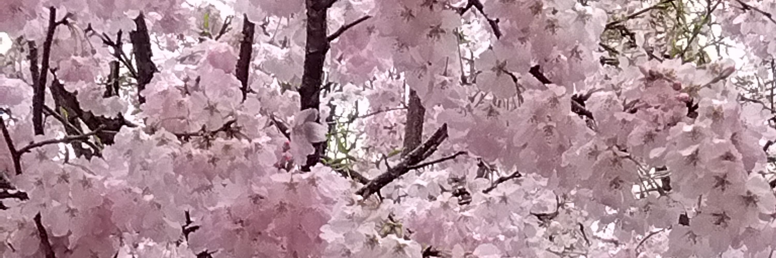 ぽり