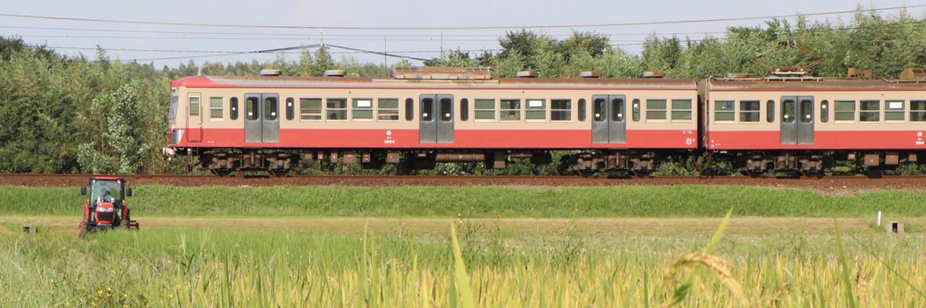 さんぎ旅人