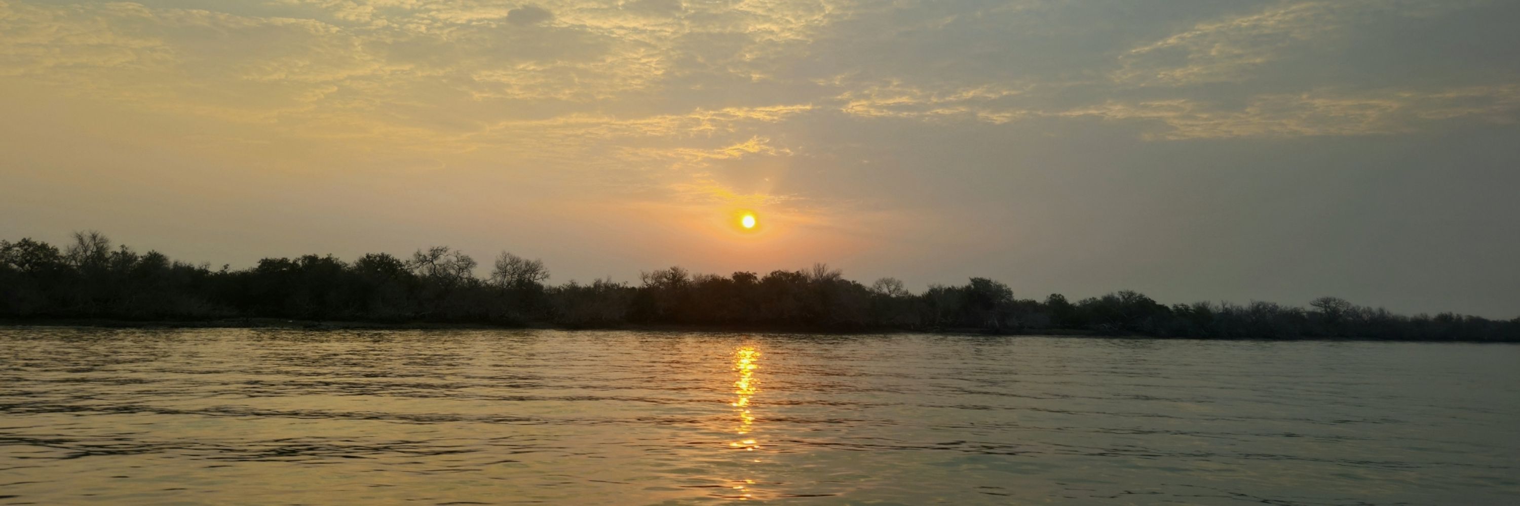 Reyhaneh.Hajian