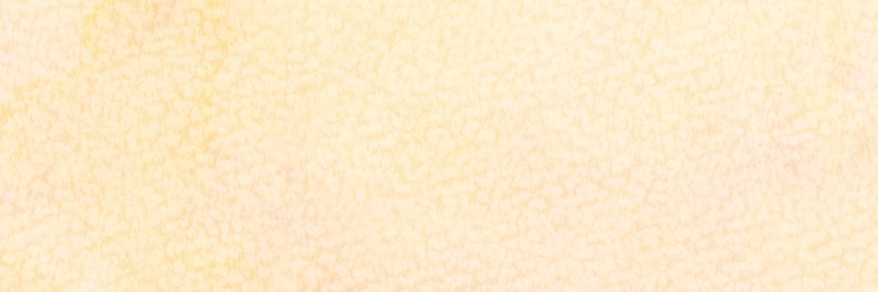 やつし