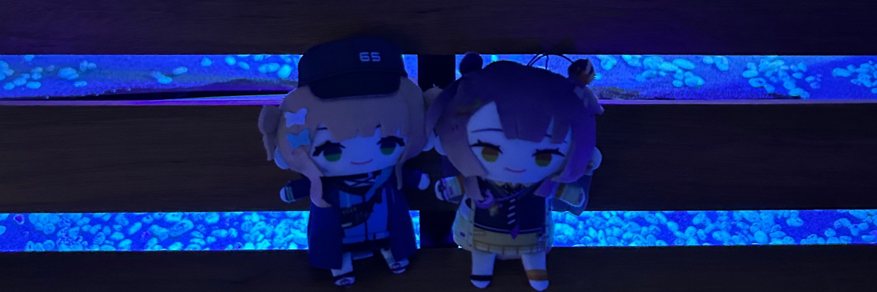 ﾘｵﾝ