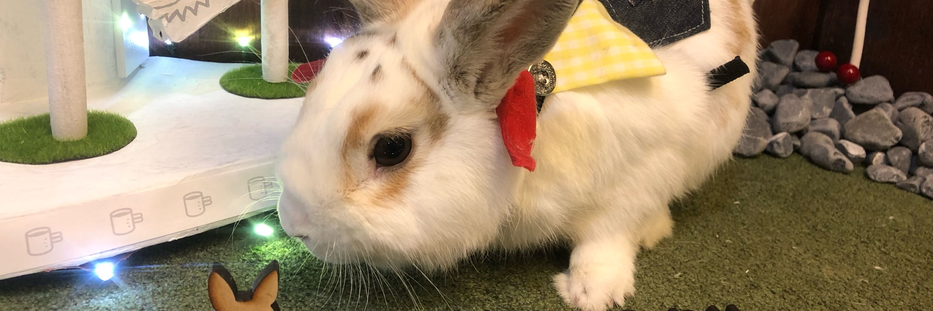 YUKI