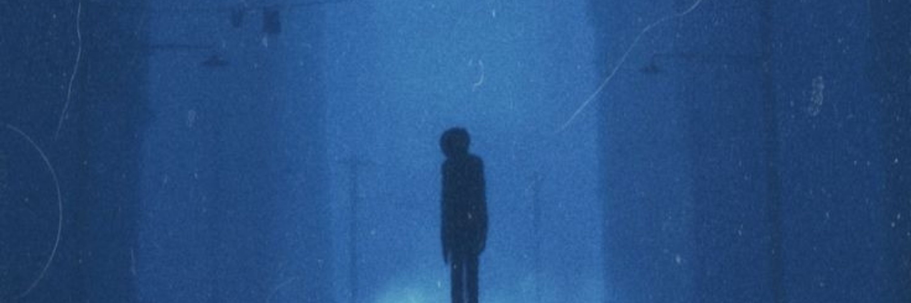 𝐿𝑒𝑠𝑠🕸️