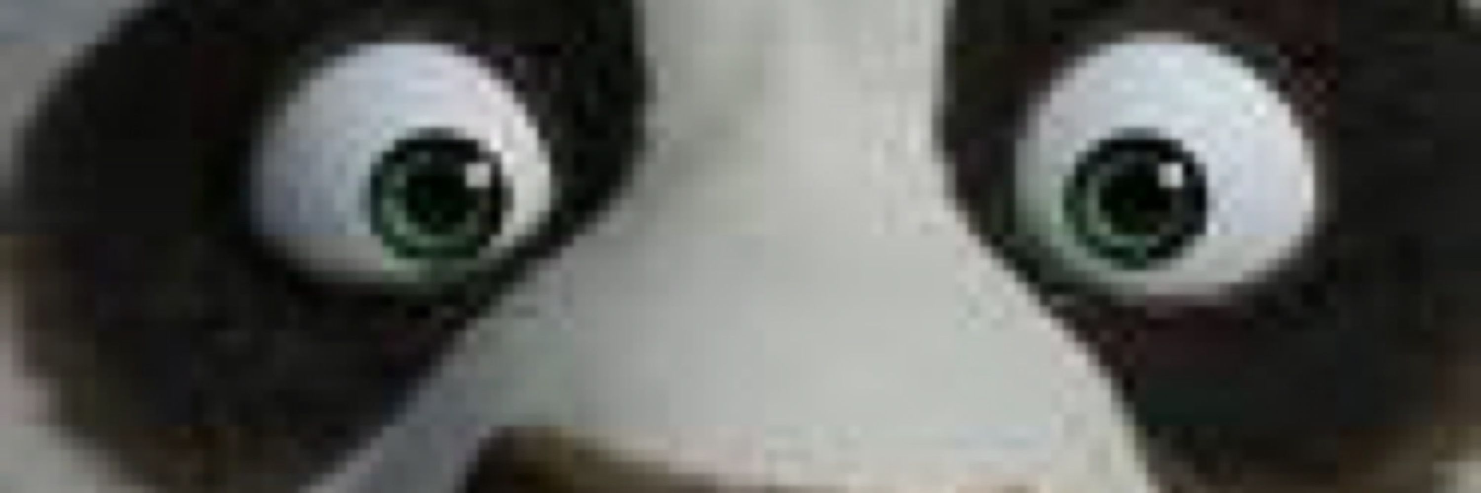 Bslucena