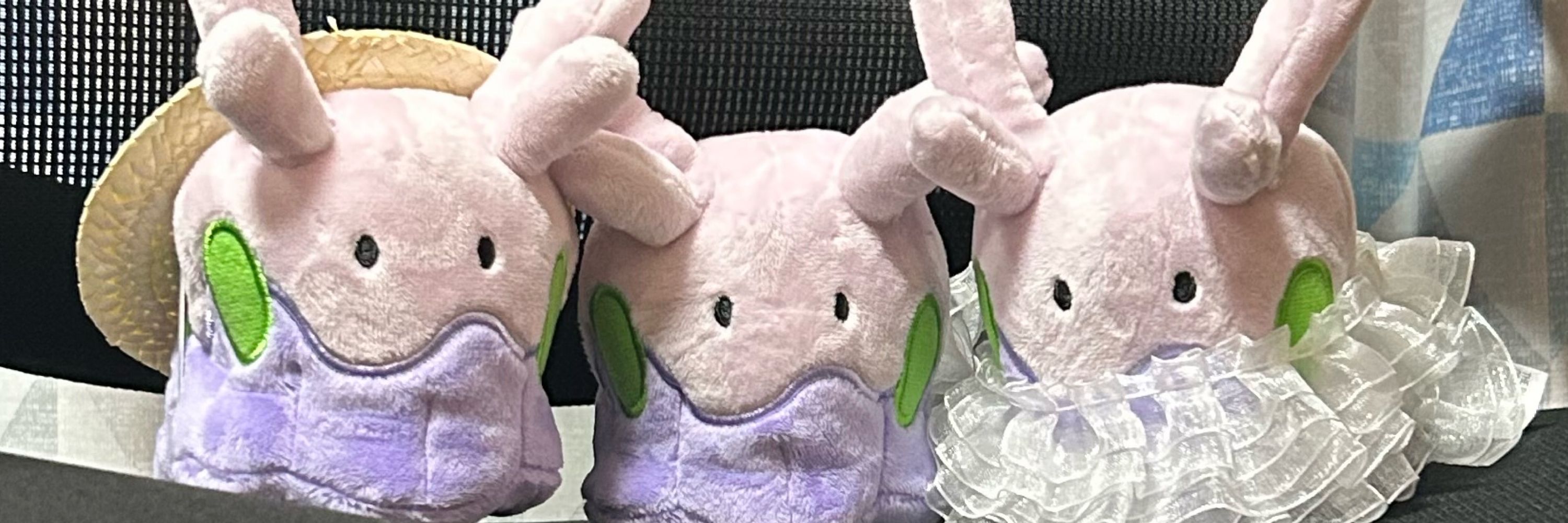 ちらし