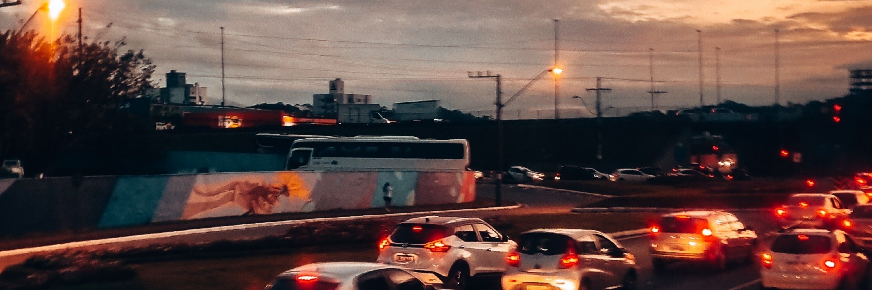 Seu psicólogo 