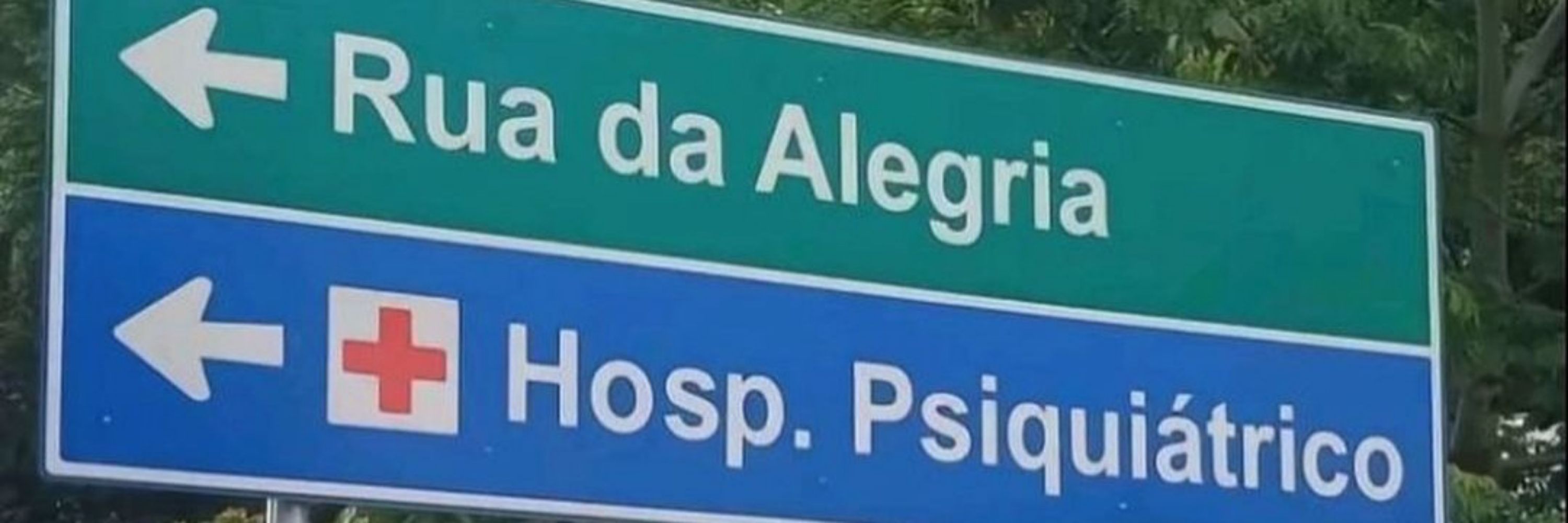 LLLuís C. Martins 🐉
