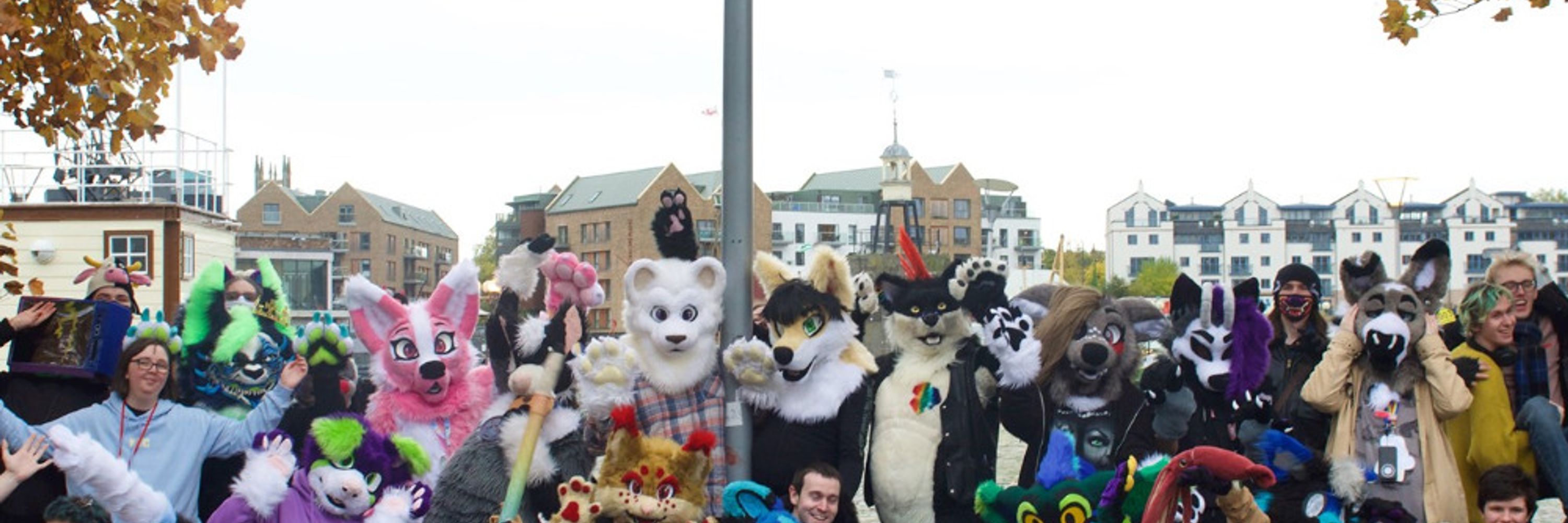 BristolFurs